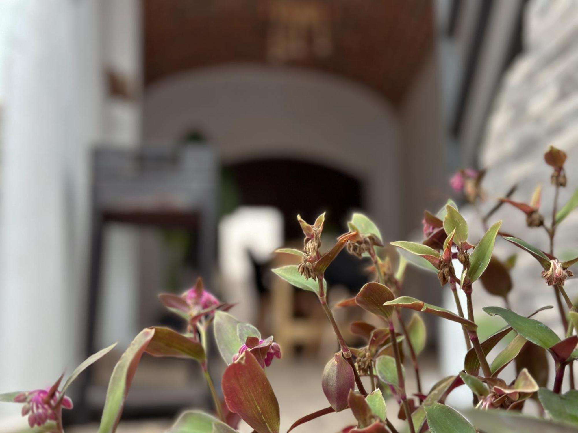 Puebla de Alcocer Casa Rural Alcocer Deluxe L Privacidad E Intimidad מראה חיצוני תמונה